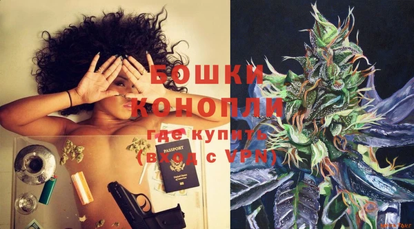 ешки Арсеньев